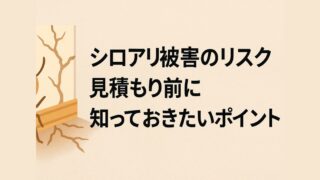 Risk of termite damage